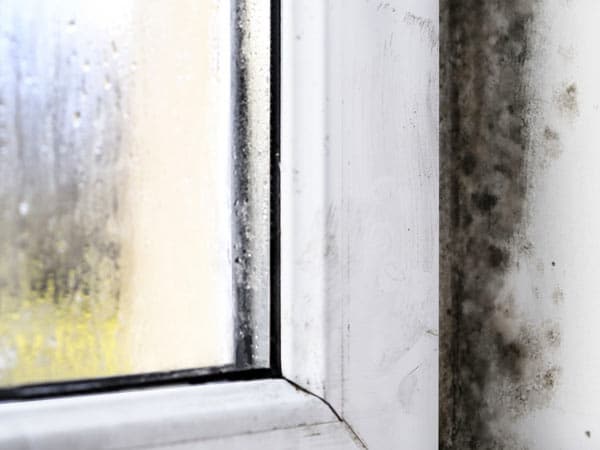 5 Best Anti Condensation Paint In The UK - Our Expert Picks - Foto 6